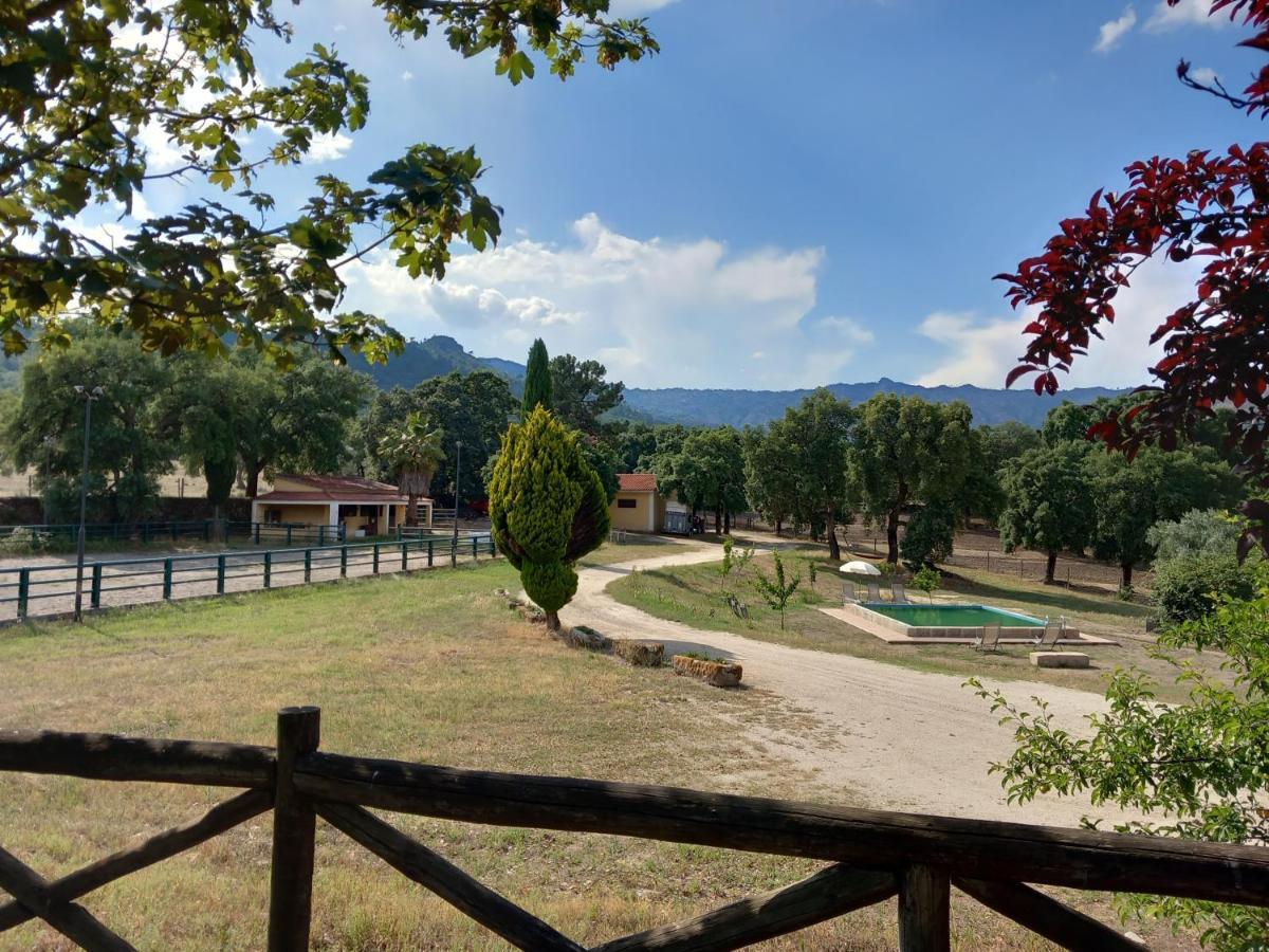 Вілла Casa Da Vinha Castelo Novo Екстер'єр фото